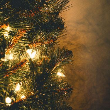 pexels jeswin 1628419